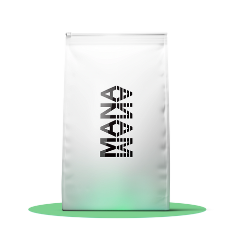 Family Pack | Pistachio